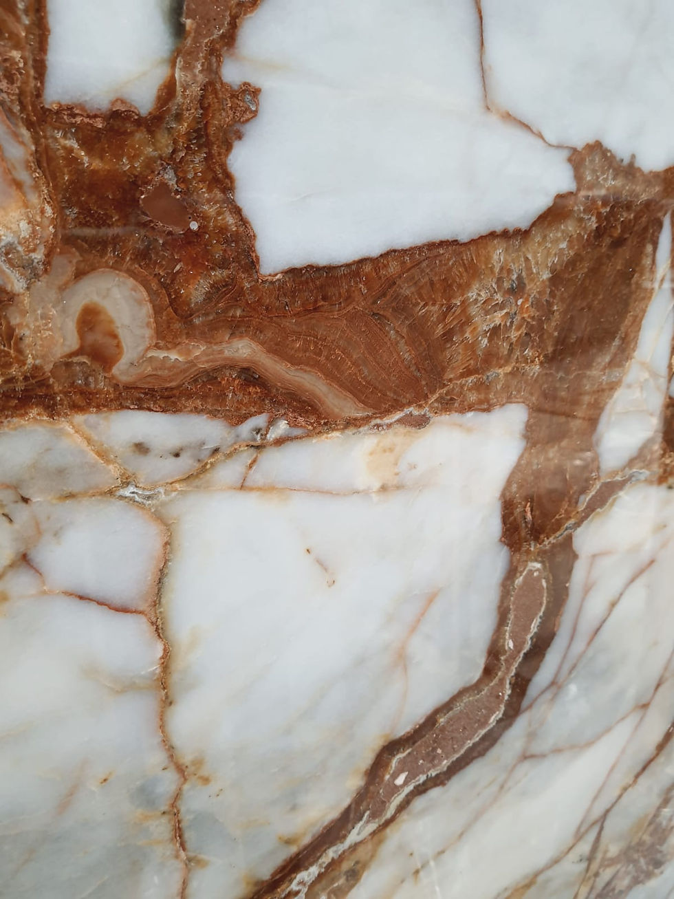 Thumbnail: Patagonia Rose