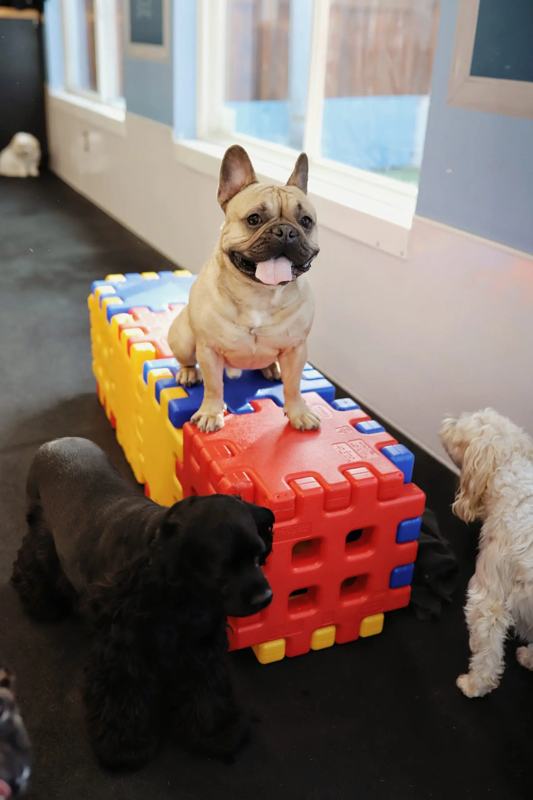 daycare-precedure-scaled.webp