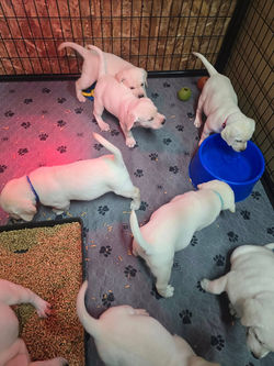 610747925_1501479298646258_4437582671465494548_n