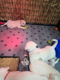 610685783_1501479511979570_19330592056829784_n