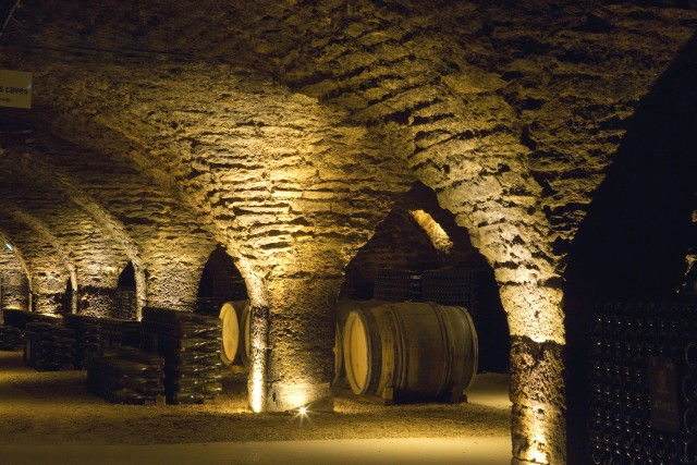 Dégustation de vins dans l'une des plus grandes caves de Bourgogne, les Caves Patriarche