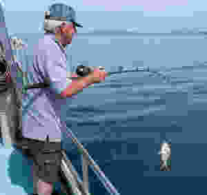 orange beach inshore fishing