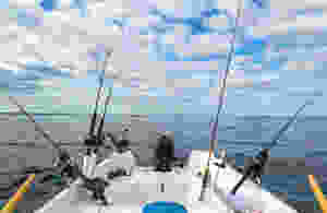 Fishing charters orange beach al Fishing Rods on Boat