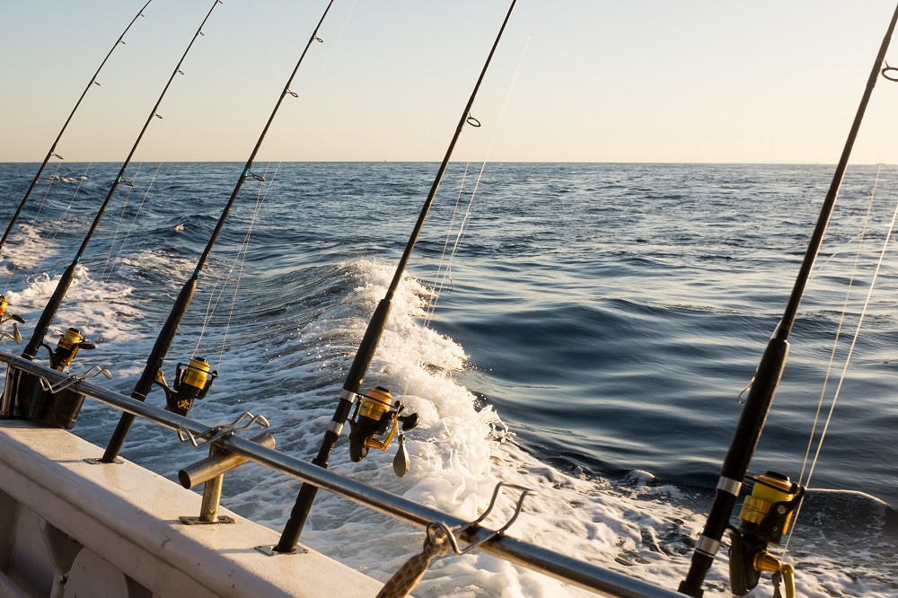 Fishing rods mounted to side of boat