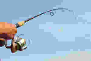 orange beach inshore fishing