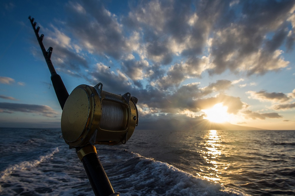 private inshore fishing charters orange beach al Fishing from boat