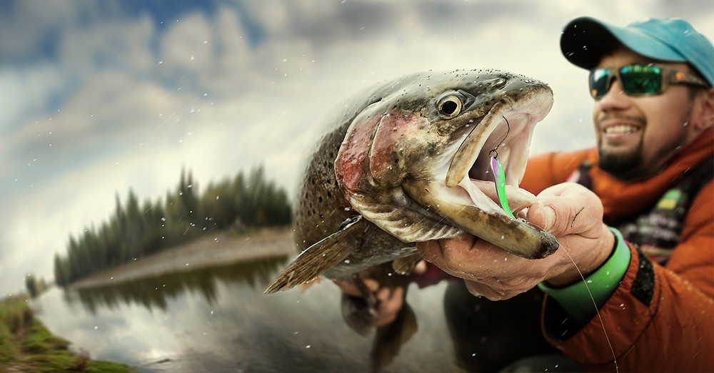 Fisherman Holding Trout