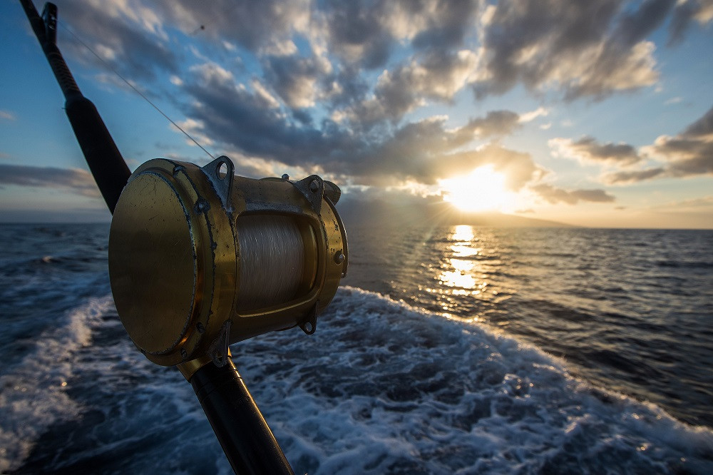 Fishing Rod in Front of Water for Fishing Charters in Orange Beach Alabama