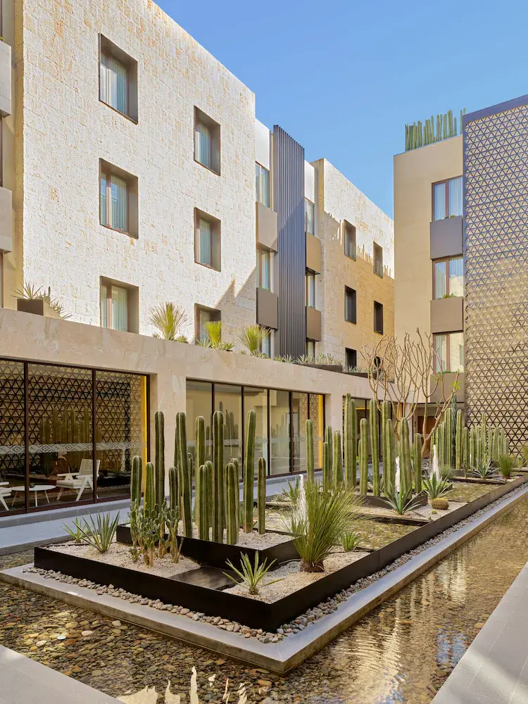 fiesta americana.webp