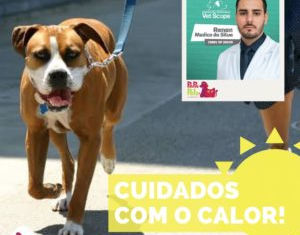 Cuidados com o calor