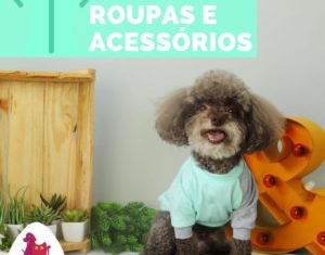 Roupas e Acessórios
