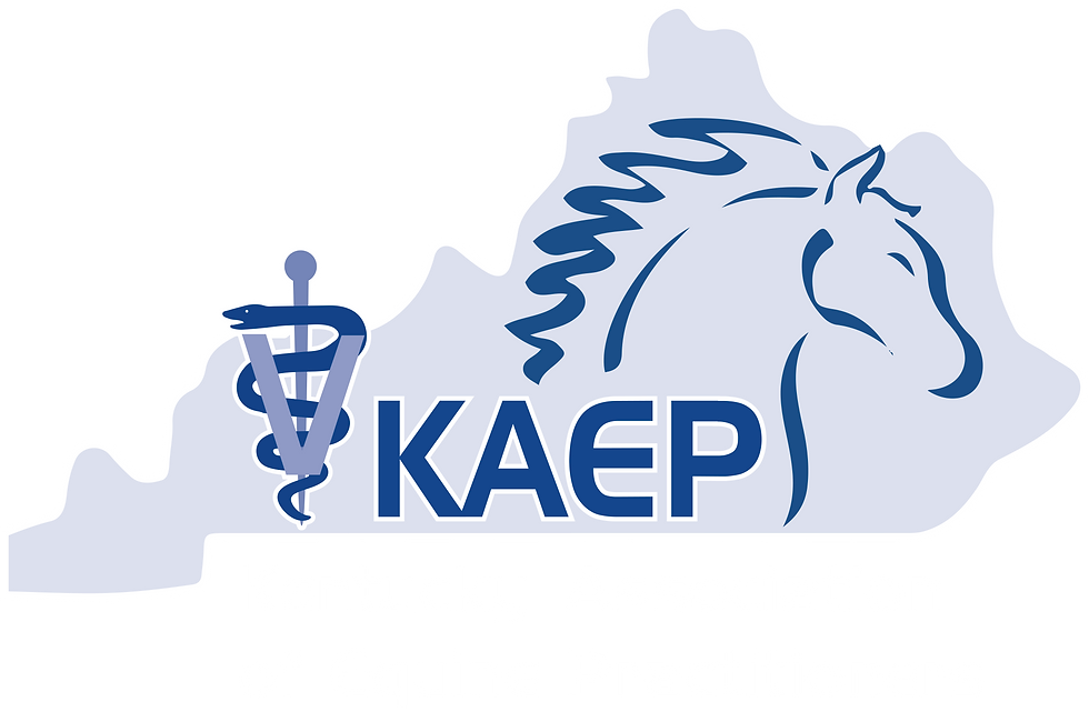 KAEP logo white.png