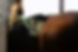 AdobeStock_458819442_edited.jpg