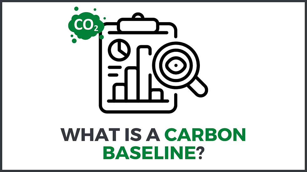 An infographic for the blog What Is A Carbon Baseline?