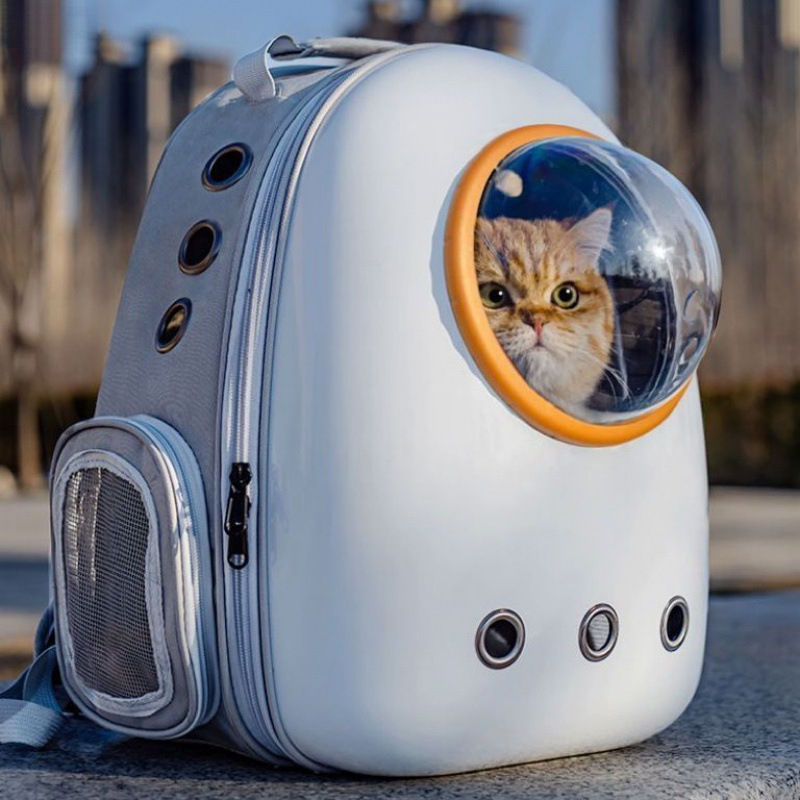 Miniature : sac de transport pour animaux de compagnie