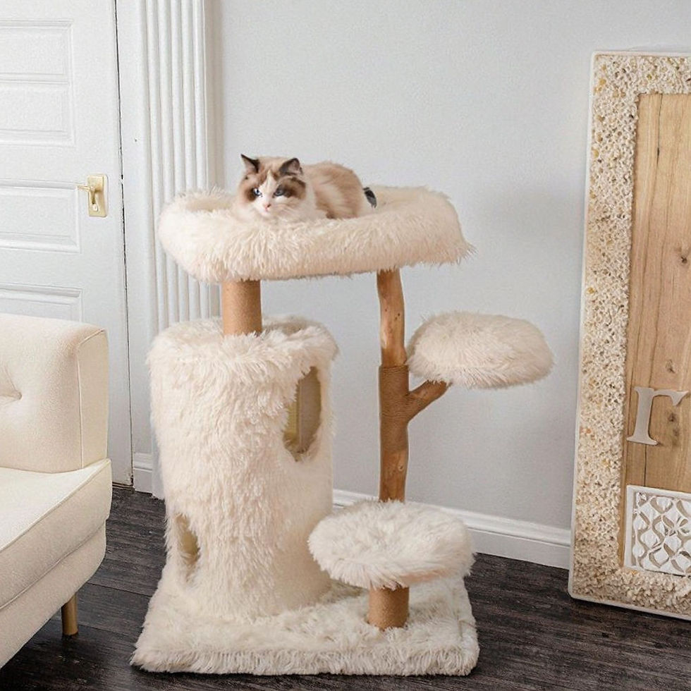 Miniature : Cadre d'escalade pour chat Grand arbre à chat Maison de chat moderne