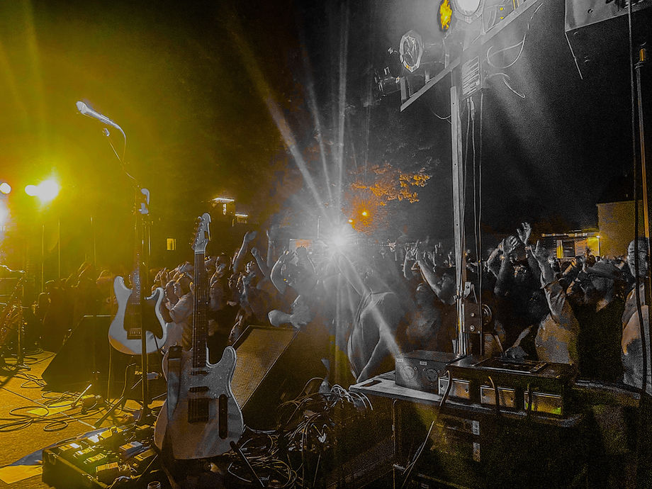 CrowdFor DomesticPromlems_outdoorconcert_edited.jpg