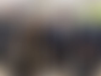 PL define seu cenário ao Senado em SC