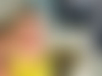 Joinvilense deportada dos EUA é presa ao desembarcar no Brasil