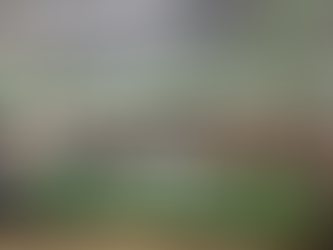 MDB intensifica consultas e deixa decisão para março