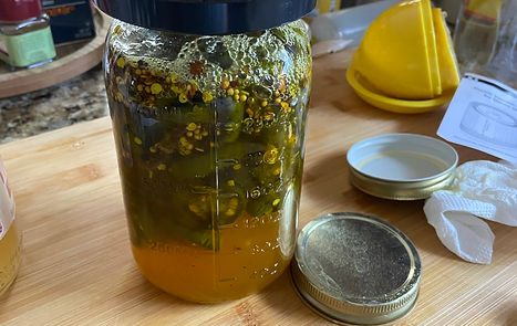 Fermenting (IMG_1355).jpg