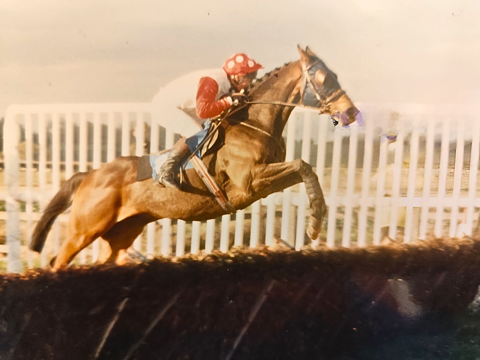 Jockey Jo wins on Friendly Fellow.