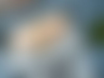 Nigeria's $40 Billion Milestone: How CBN's Reform Surge is Reigniting Investor Confidence 