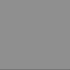 9007