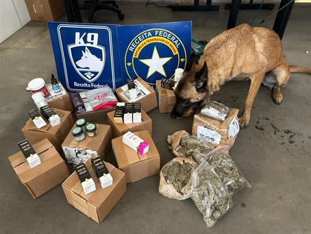 Receita Federal intercepta supermaconha