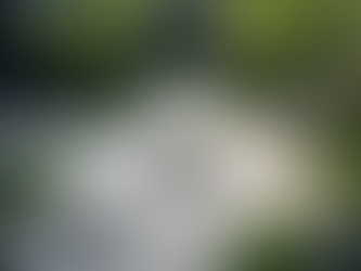 Meditação e o Bem-Estar Mental