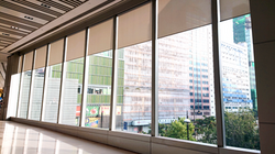 9cef4e63e38272104918c278f5dc763_edited_e