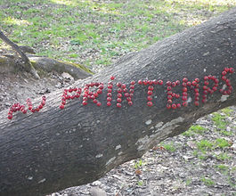 Au printemps des poètes