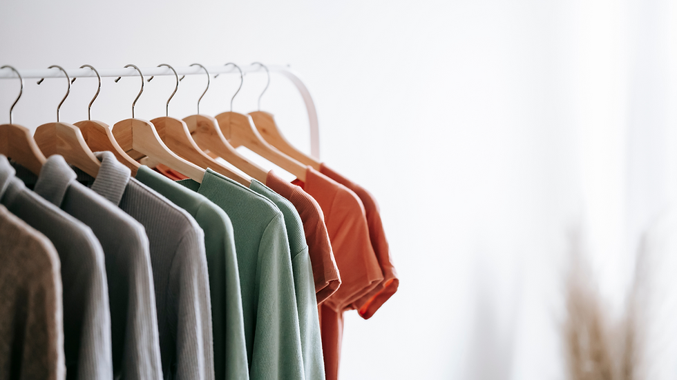 Home interior with garments on racks