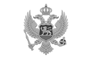 mne_edited.png