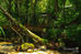 Reservas Naturales