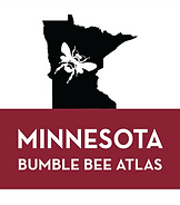 Minnesota Bumble Bee Atlas logo