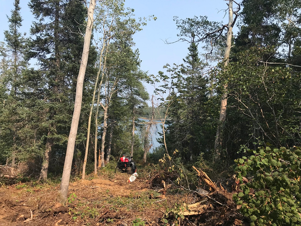 DIY land development for cabin build