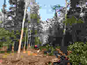 DIY land development for cabin build