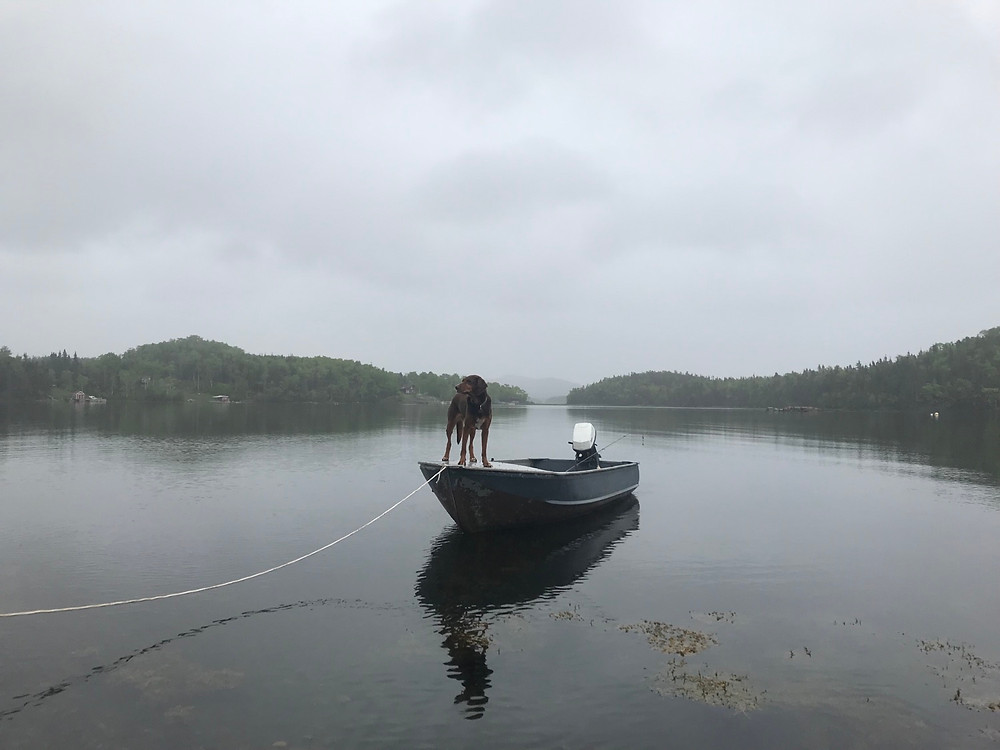 Duke standing on our 14' aluminum boat, tied off in the harbor