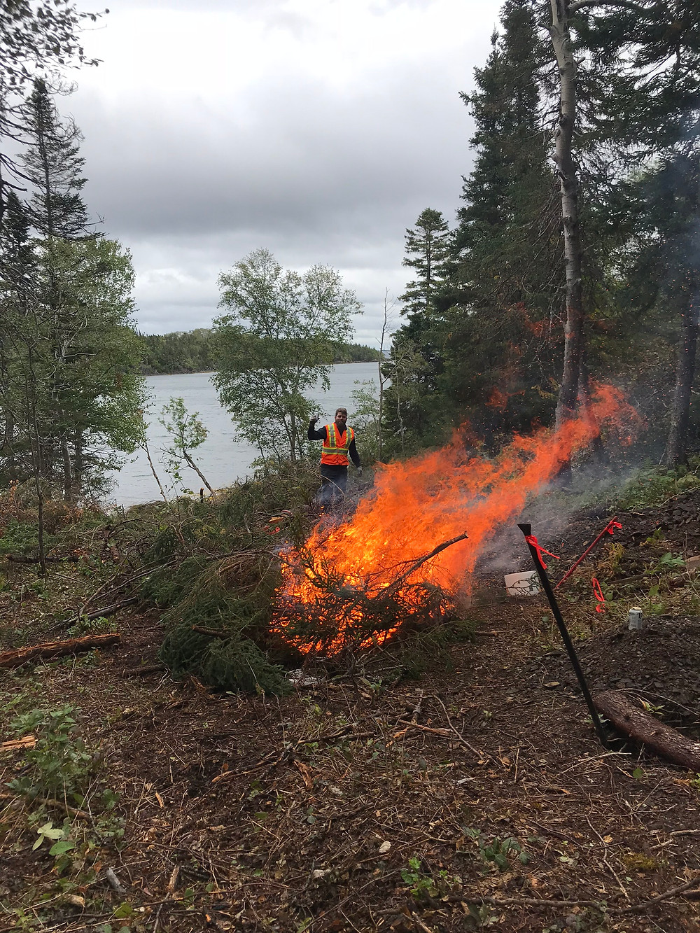 A larger brush fire for diy land development
