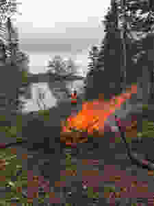 A larger brush fire for diy land development