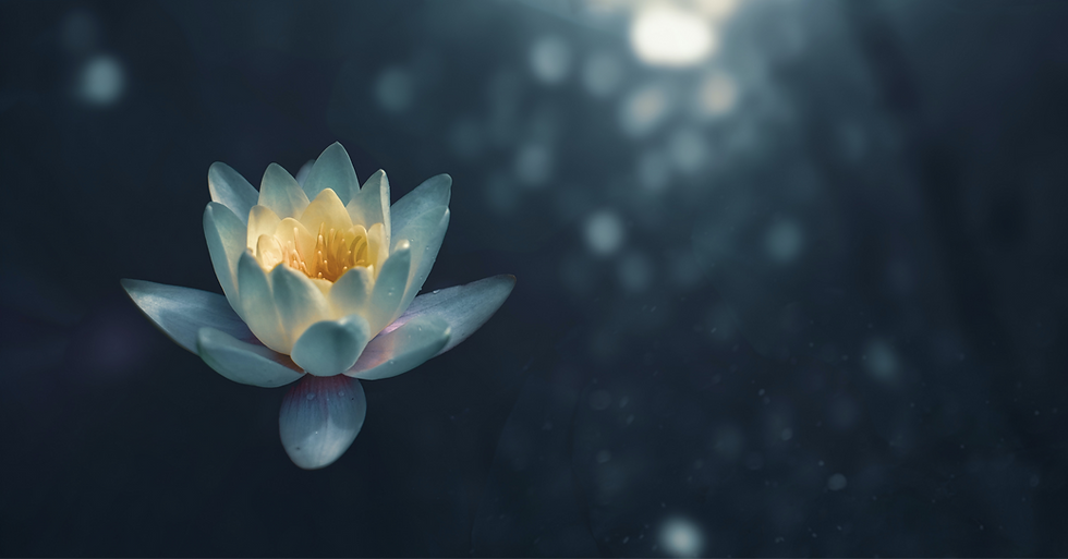 zoltan-tasi-vHnVtLK8rCc-unsplash_edited.png