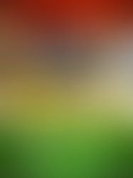 Black & white portraits of Dr. Solomon Carter Fuller, Dr. Inez Beverly Prosser, Dr. Francis Cecil Sumner, Dr. Mamie Phipps Clark on a background of the Pan-African flag. Words say "Celebrate Black History Month."