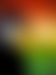 Black and white image of Dr. Inez Beverly Prosser on a background of pan-African colors of red, yellow, and green. Words say "Celebrate Black History Month." The Bert Nash Center logo is at the bottom.