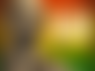 Black and white image of Dr. Soloman Carter Fuller on a background of pan-African colors of red, yellow, and green. Words say "Celebrate Black History Month." The Bert Nash Center logo is at the bottom.