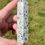 Thumbnail: Kiwi Jasper Tower