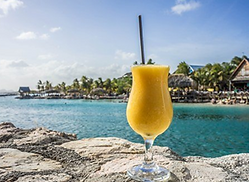 Tropical Sunshine.png