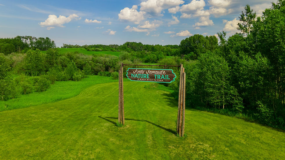 DJI_0253-95.jpg