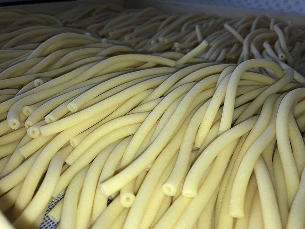 maccheroncini