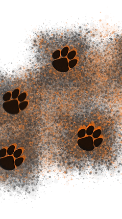 paws.png